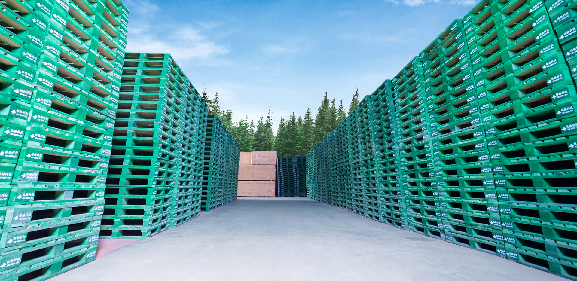 林格共享托盘：从研发到托盘租赁的全价值链服务之路